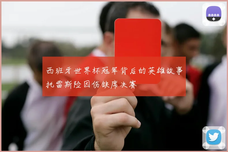西班牙世界杯冠军背后的英雄故事托雷斯险因伤缺席决赛
