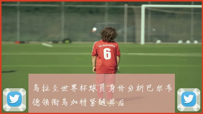 乌拉圭世界杯球员身价分析巴尔韦德领衔乌加特紧随其后