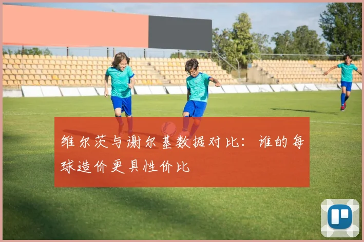 维尔茨与谢尔基数据对比：谁的每球造价更具性价比